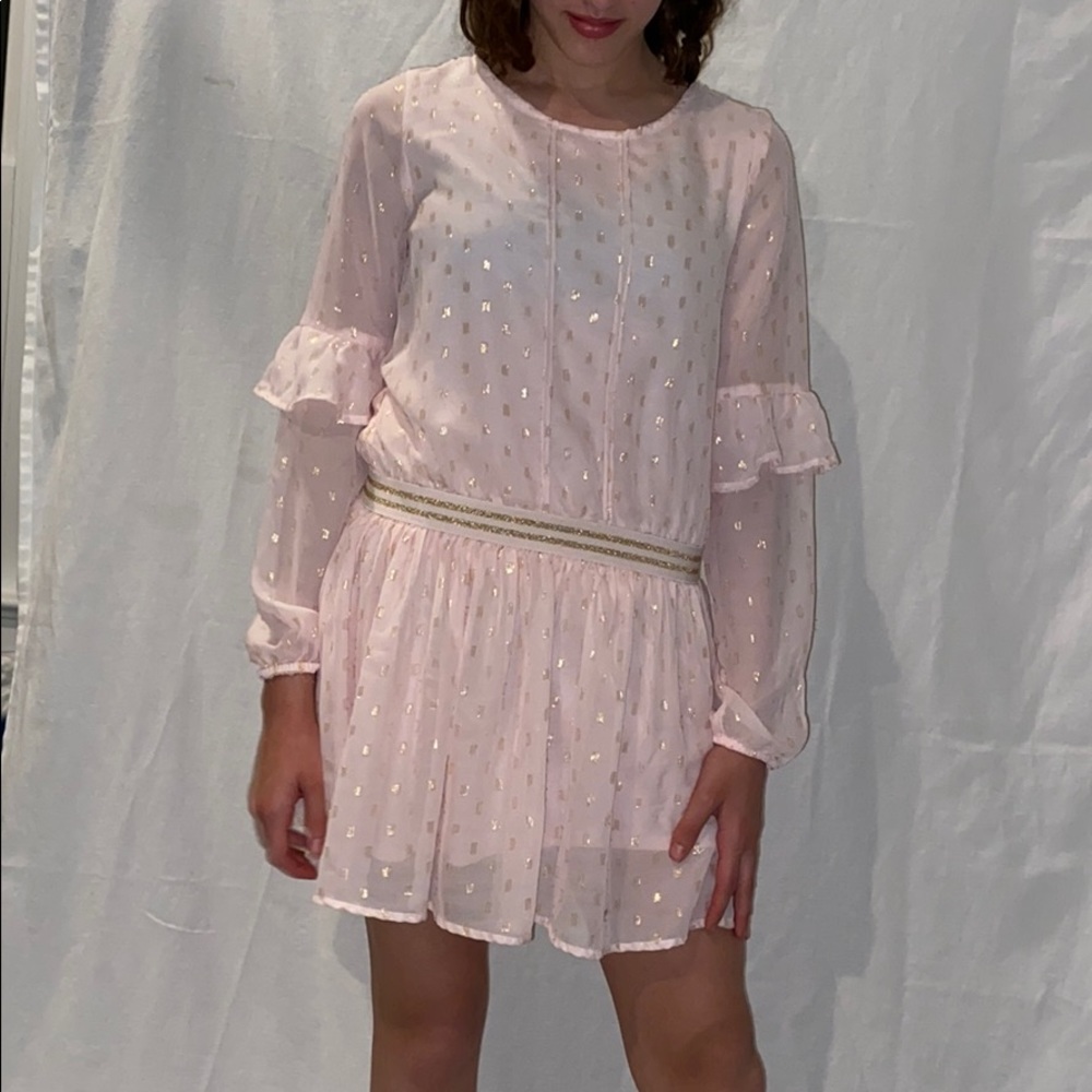 Pink&Gold Dress